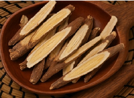 Astragalus Root Chinese Herb