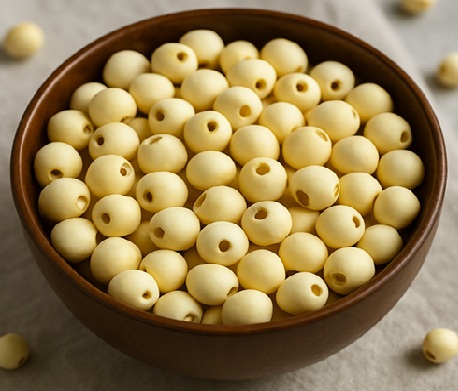 Lotus Seed