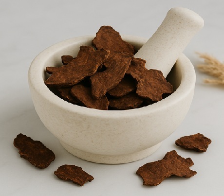 Fleeceflower Root Chinese Herb