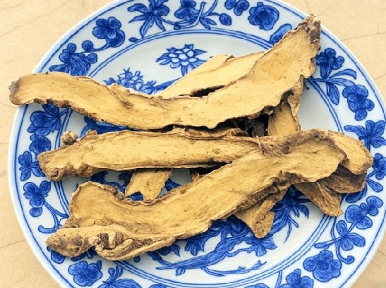 Anemarrhena Rhizome Chinese Herb