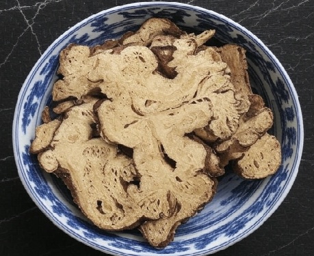 Atractylodes Chinese Herb