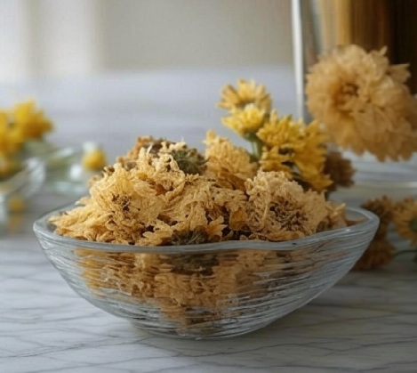 Chrysanthemum Flower