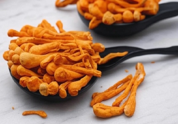 Cordyceps Militaris Chinese Herb