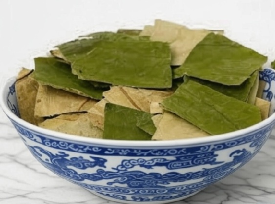 Lotus Leaf Chinese Herb