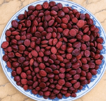 Ziziphus Spinosa Seed