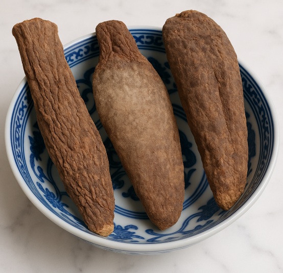 Cistanche Stem Chinese Herb