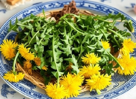Dandelion