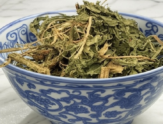 Eclipta Chinese Herb