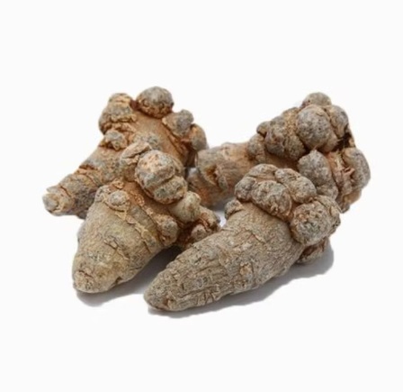 Notoginseng Root Chinese Herb