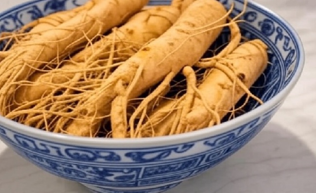 Siberian Ginseng