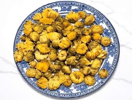 Chrysanthemum Indicum