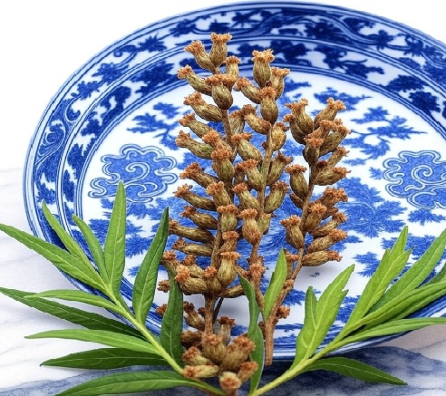 Mugwort Leaf Chinese Herb