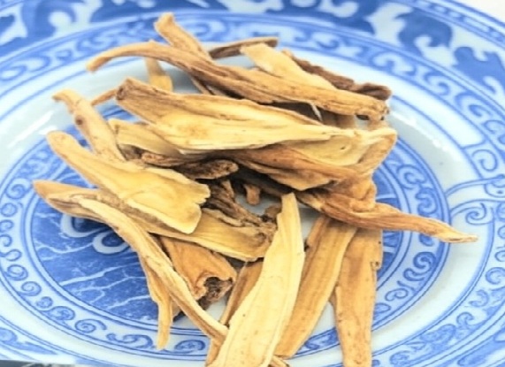 Balloon Flower Root