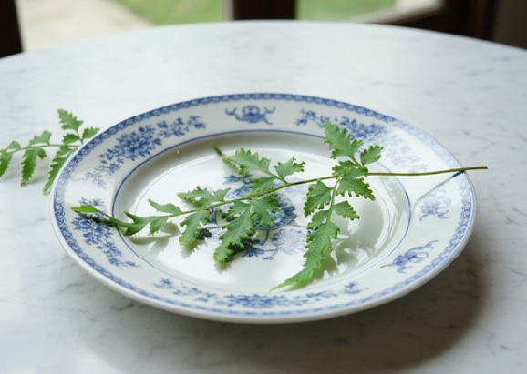 Lygodium Spore Chinese Herb