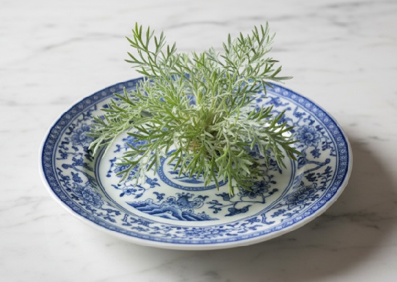 Artemisia Capillaris Chinese Herb