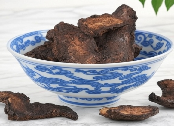 Chinese Foxglove Root