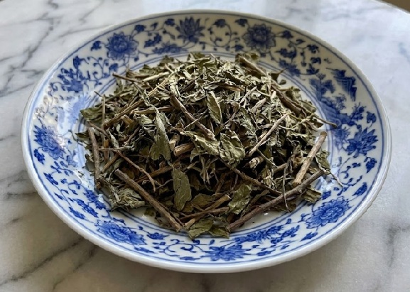 Agrimony Chinese Herb