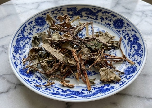 Houttuynia Chinese Herb