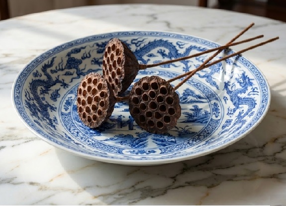 Lotus Seed Pod
