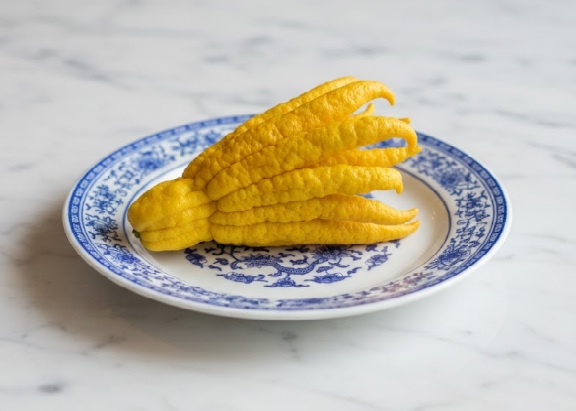 Buddha’s Hand Citrus