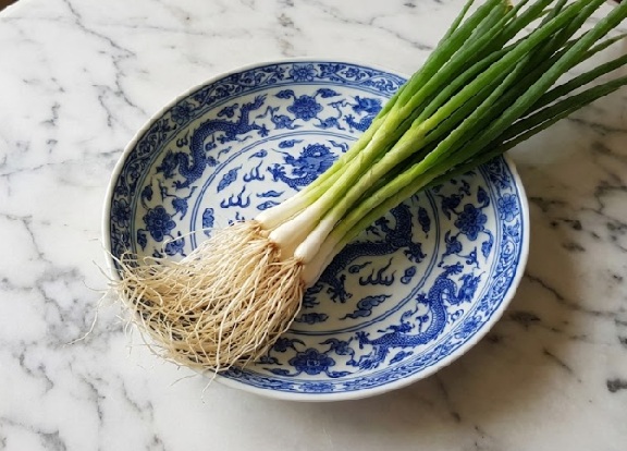 Scallion Roots